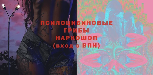 соль ск Липки