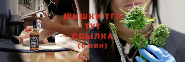 соль ск Липки