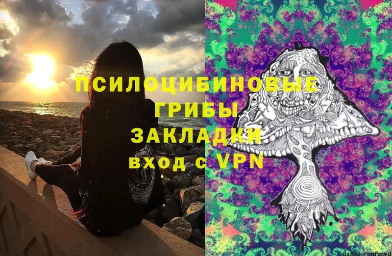 Псилоцибиновые грибы Cubensis Комсомольск